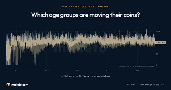 Preview of Coins moved by age