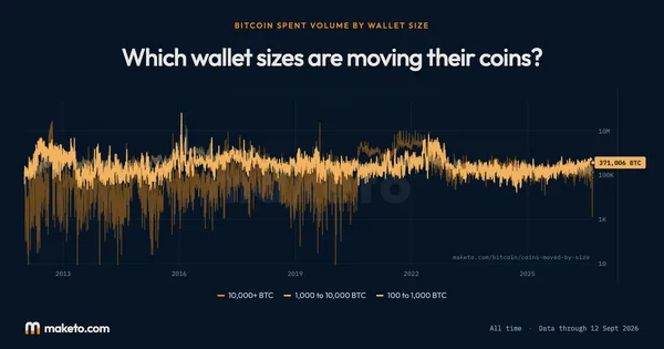 Preview of Which wallet sizes are moving their coins?