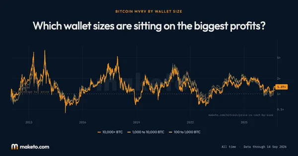 Preview of Which wallet sizes are sitting on the biggest profits?