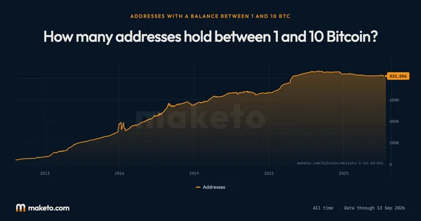 Preview of How many addresses hold between 1 and 10 Bitcoin?