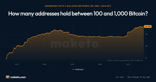 Preview of How many addresses hold between 100 and 1,000 Bitcoin?