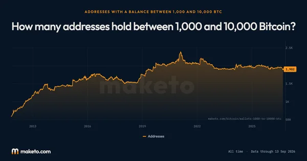 Preview of How many addresses hold between 1,000 and 10,000 Bitcoin?