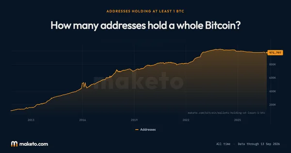 Preview of How many addresses hold a whole Bitcoin?