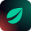 Bitfinex